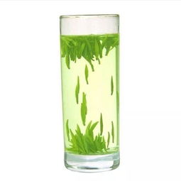 楊明火 茶文化與紫砂壺