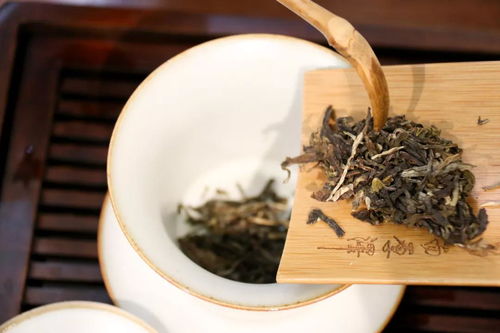 茶中珍品 昌而厚澤 正印系列之藍印普洱茶