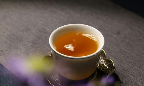 詳解野生茶和野放茶的區別和聯系