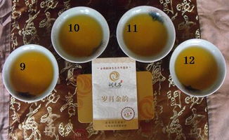 一茶一世界，一飲一傾心 潤元昌歲月金韻茶樣試喝體驗