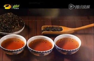 潤元昌柑普茶 湖南廣電茶頻道傾情推薦，品味地道茶香