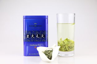 CCTV國家品牌計劃扶貧推薦產品 品味古丈毛尖，助力湘西振興——探訪古陽河75g精品古丈毛尖